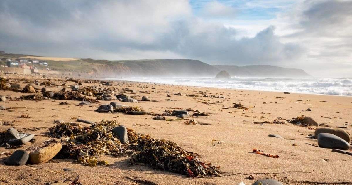 Widemouth Bay